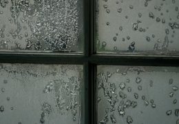 Protege tu salud: cómo eliminar la humedad de tu vivienda