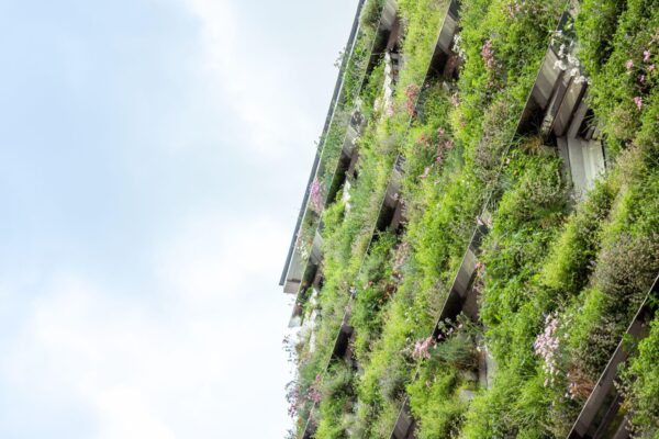la rehabilitación de viviendas con técnicas de arquitectura bioclimática recibirá un impulso notable
