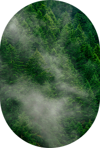 Resolvemos tus dudas