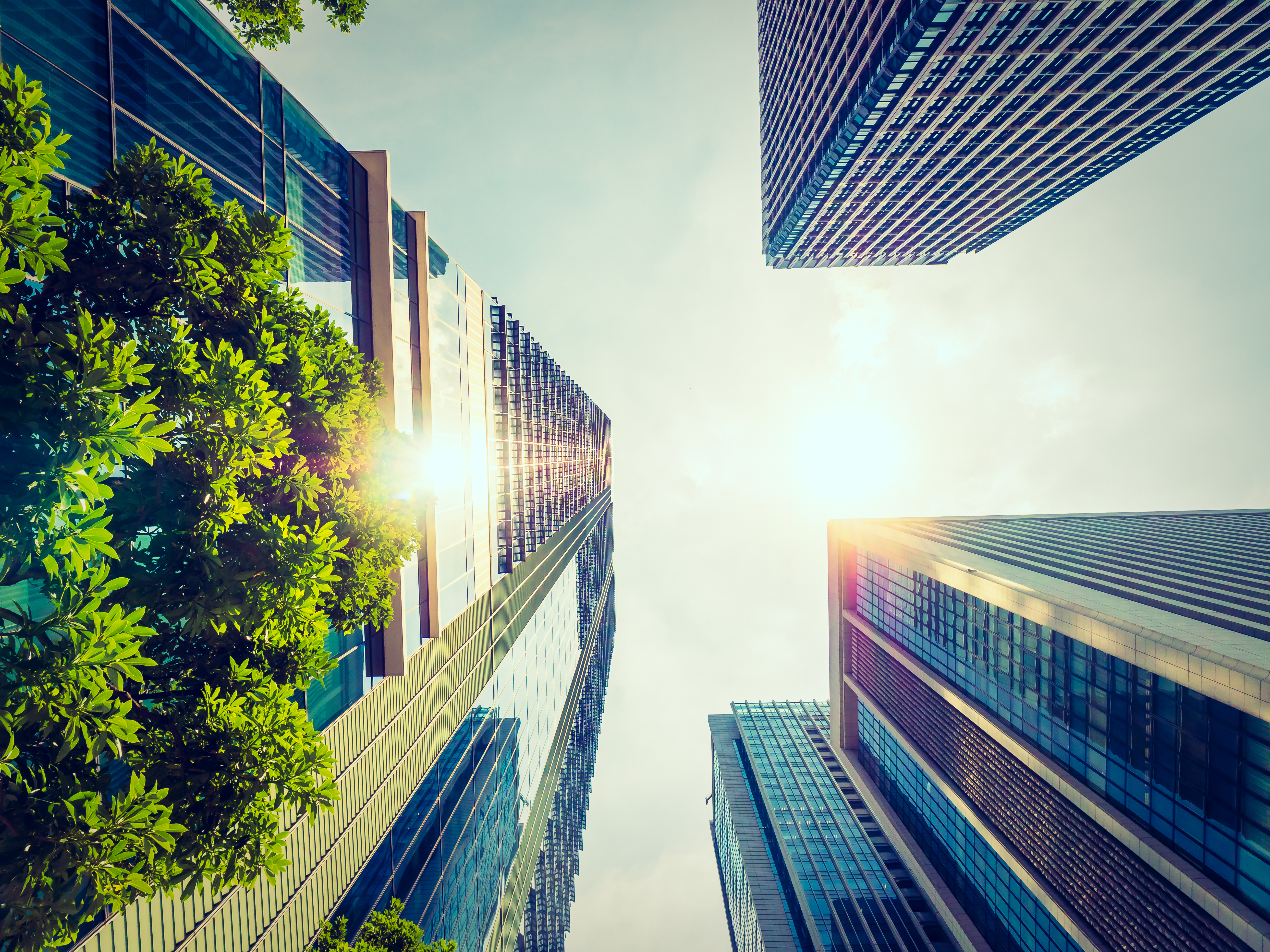 GBCE: Certificación LEED y arquitectura ecológica