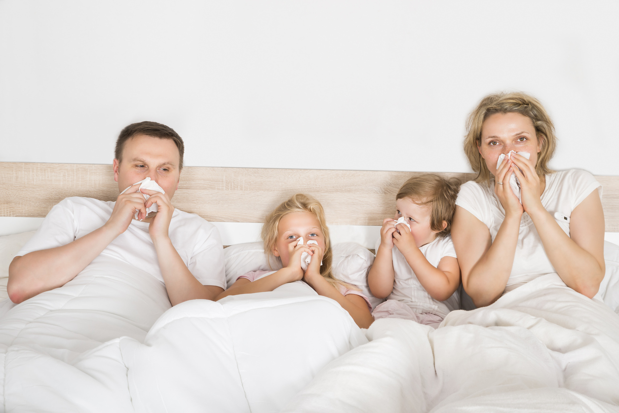 Allergens: these are the microorganisms that inhabit our homes