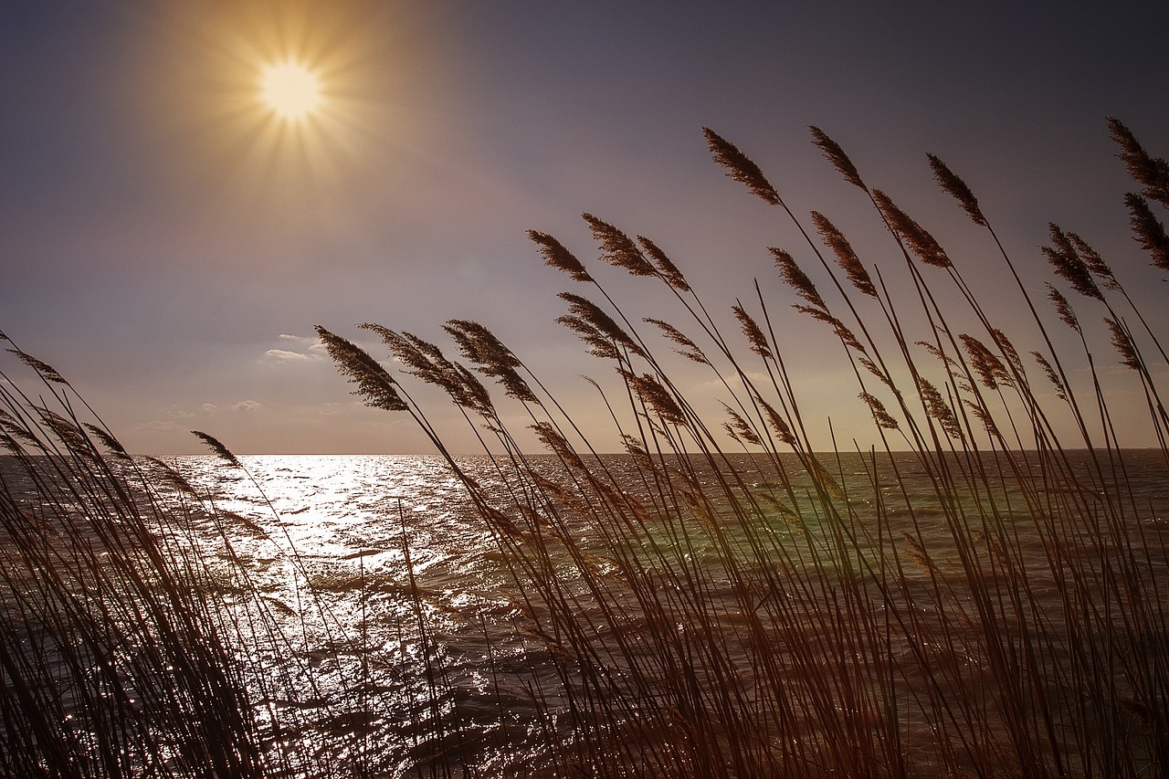 La circulación del aire por los conductos de ventilación