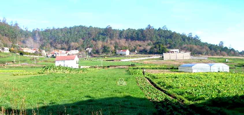 Consecuencias del gas radón: un barrio afectado por cáncer