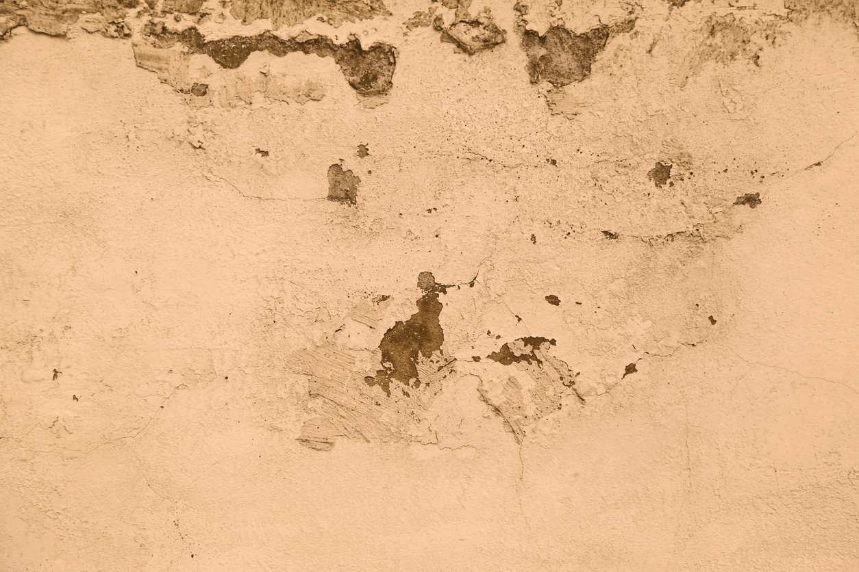 Consecuencias negativas de un insuficiente control de humedad