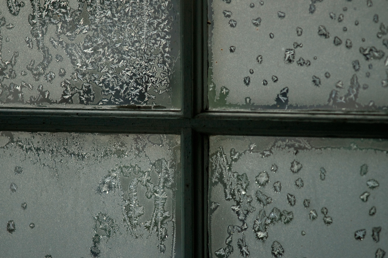 Protege tu salud: cómo eliminar la humedad de tu vivienda