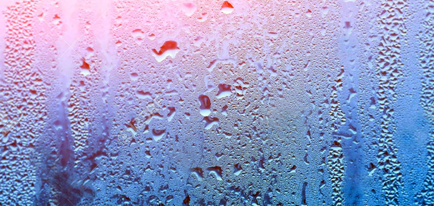 Humedad relativa y humedad absoluta: diferencias