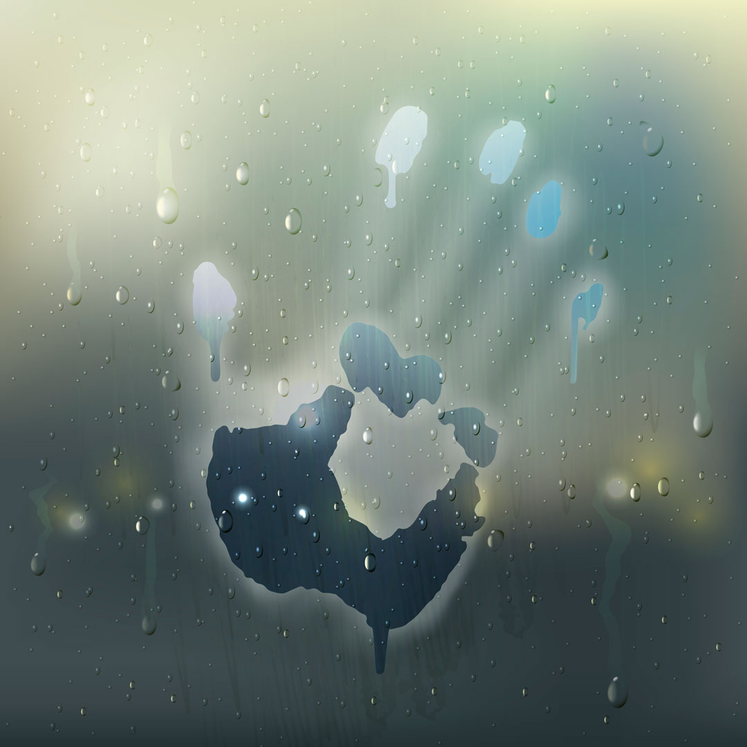 La ventilación punto clave para prevenir y eliminar humedades