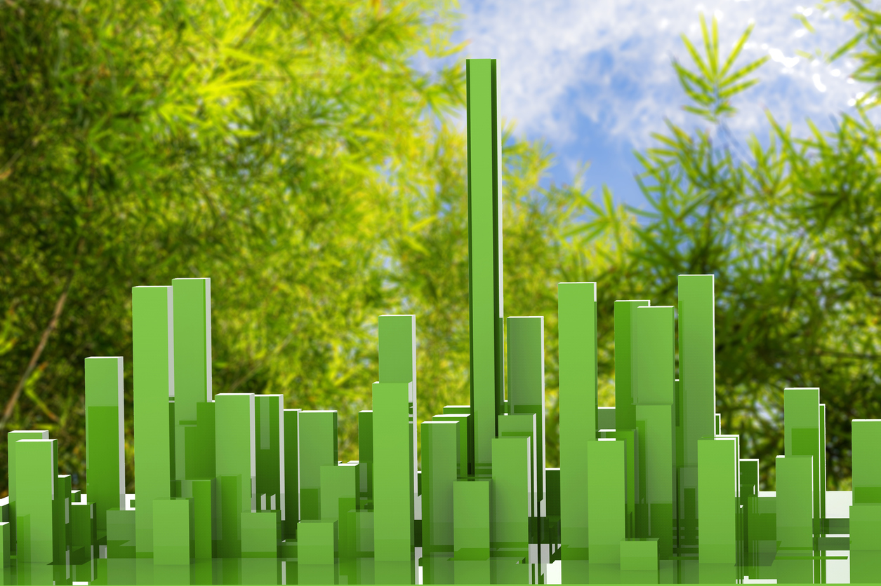 How can sustainable and efficient architecture be projected?