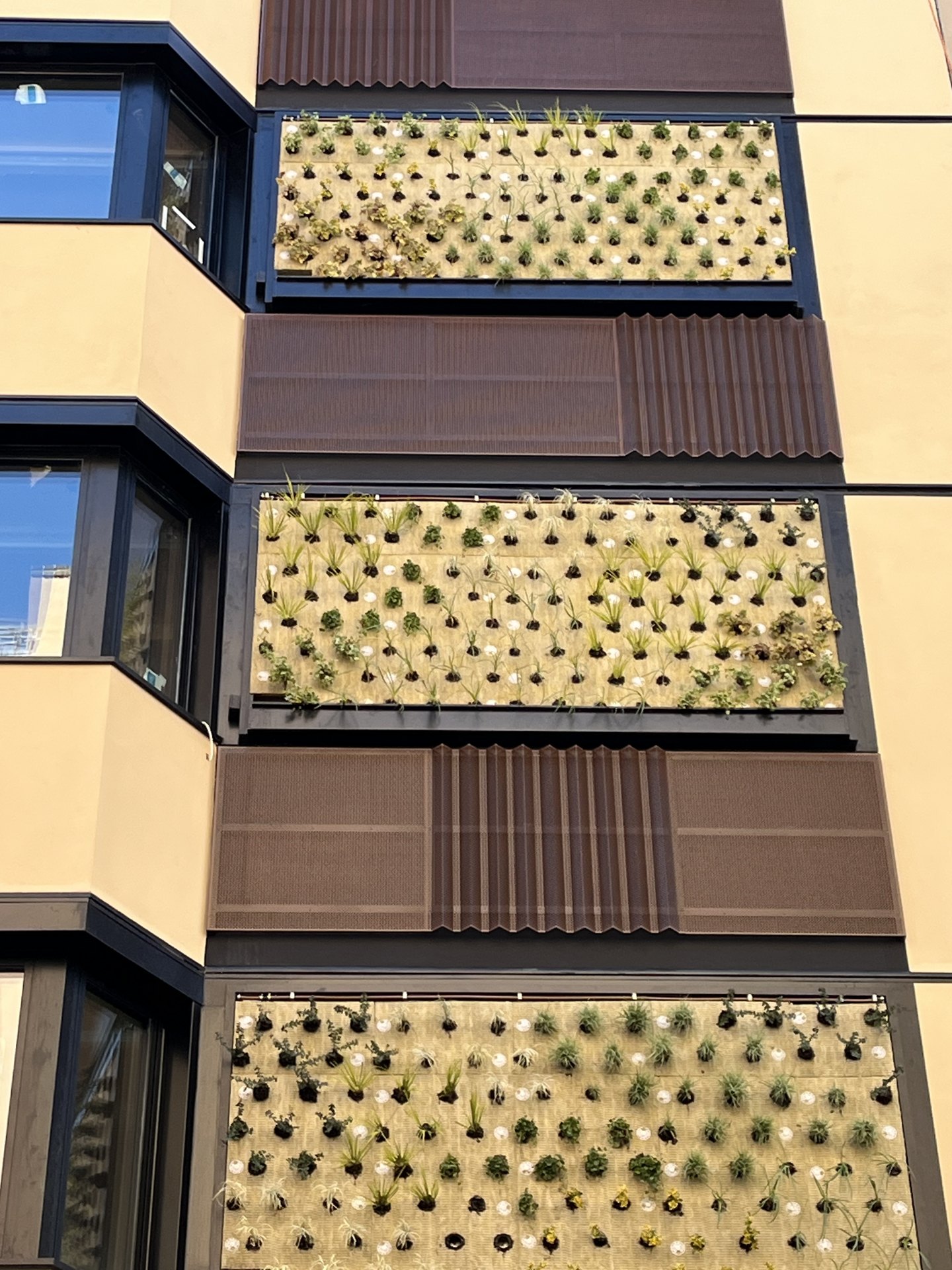 Minimal Suites Mudéjar