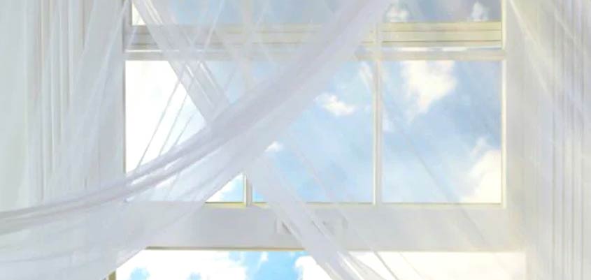 Purificar el aire, ¿qué nos aporta en su renovación?