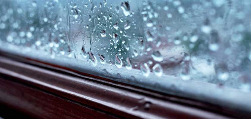 Sensor de humedad, tu aliado para combatir el vapor de agua en el aire