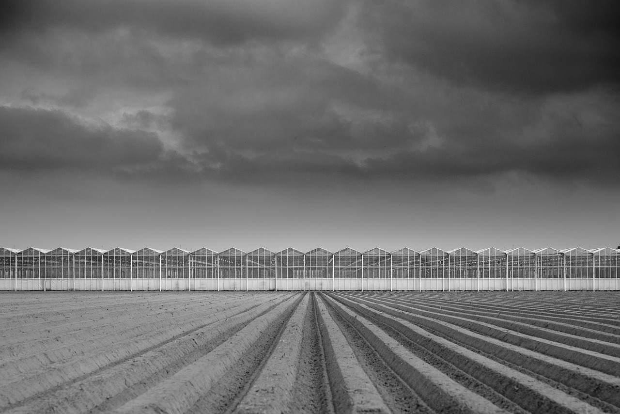 El sistema de ventilación de un invernadero: ventilación natural y mecánica